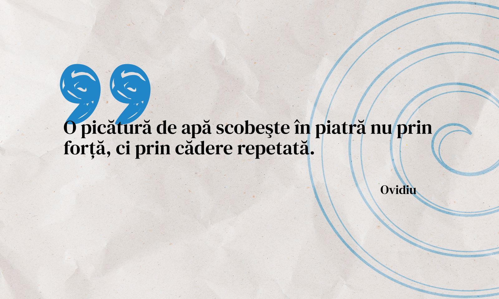 Echipele reziliente Ileana Fritea Cover