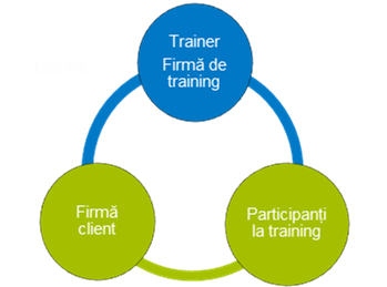 schema articol Radu Cocean