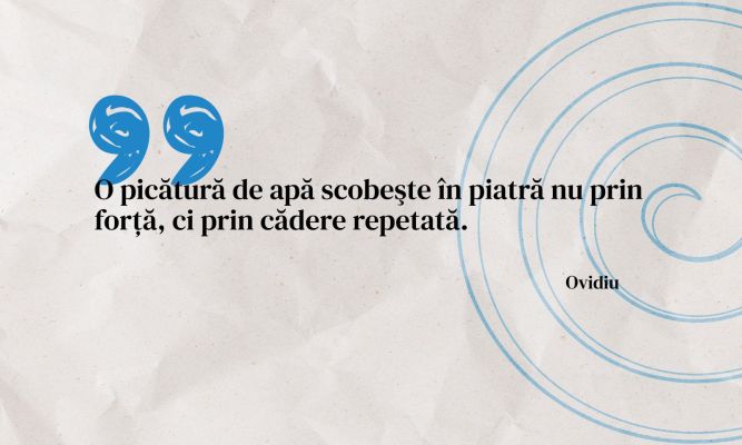 Echipele reziliente Ileana Fritea Cover