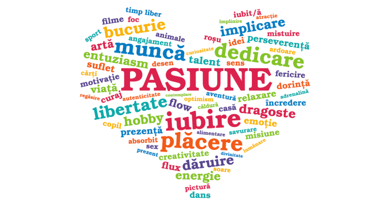 Concluzii-pasiune-2016