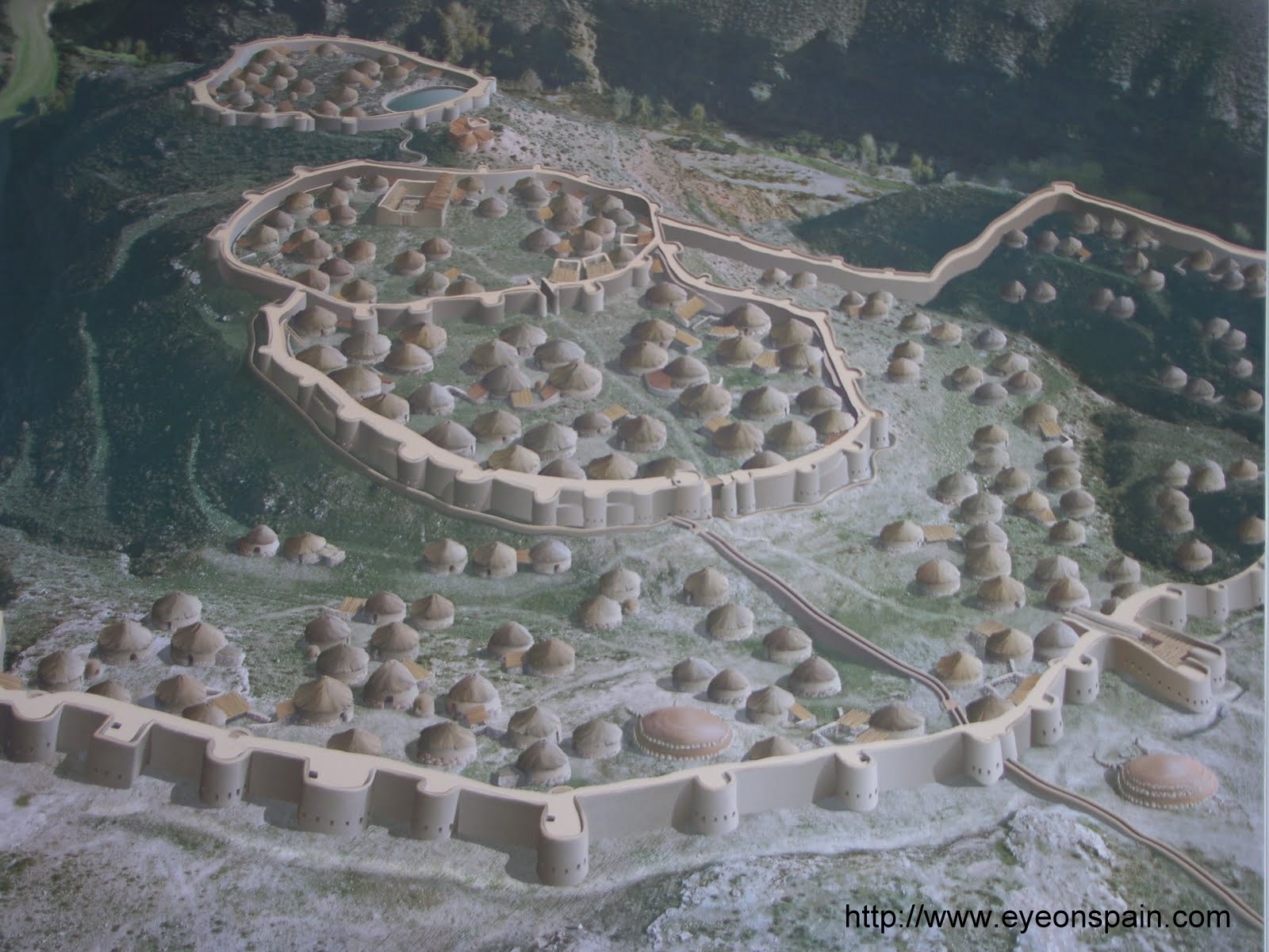 5-zid